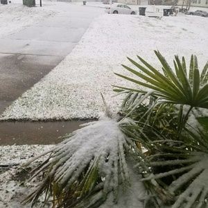 Meet your Posher, Jacqueline